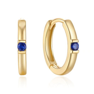 Elenza Goudkleurige Oorbellen met Blauwe Kristal